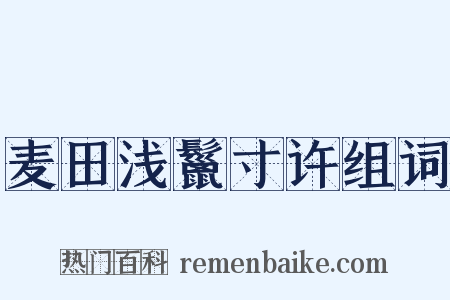 麦田浅鬣寸许组词是什么意思的图片